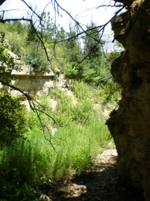 Hiking Trail in the Lincoln Forest Near NM Skies